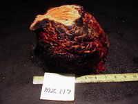 mz117a.JPG mz117a.JPG