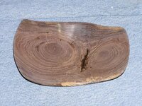 MangrovePlater01.jpg