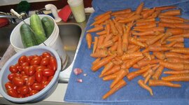 IMG_0911.jpg