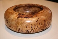 IMG_6794.jpg