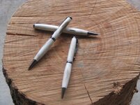 antler pens.jpg