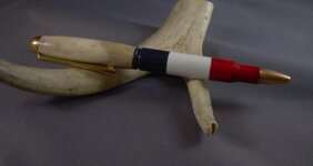 1 BWR.jpg