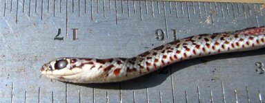 IMG_3205 (Small).JPG