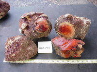 mz145a.JPG mz145a.JPG