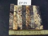 bp54a.JPG bp54a.JPG