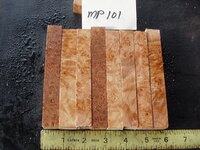 mp101a.JPG mp101a.JPG