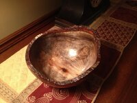 IMG_2305.jpg