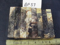bp53a.JPG bp53a.JPG