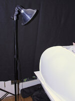 PrimaryLight.jpg