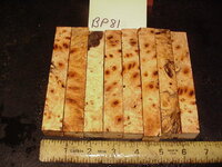 bp81a.JPG bp81a.JPG