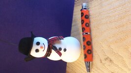WIN_20141215_081653.jpg