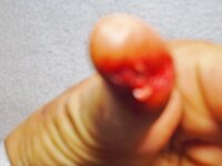 DSCF0112 (800x600).jpg