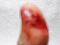 DSCF0113 (800x600).jpg