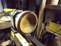 Bowl holling -2 (640x480).jpg