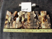 bp48a.JPG bp48a.JPG