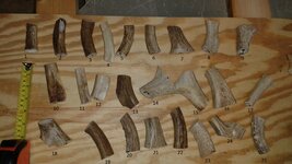 20150112_123334 (800x450).jpg
