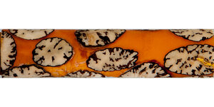 Sample1B.jpg