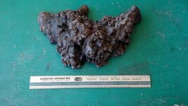 walnut burl (900x507).jpg walnut burl (900x507).jpg
