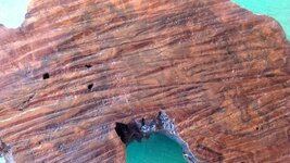 walnut burl 2 (900x507).jpg walnut burl 2 (900x507).jpg
