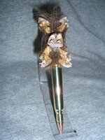 sparhawk3.jpg