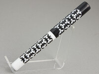 pen 8 a.jpg