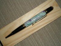 pen 19a.jpg
