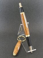 pen 23a.jpg