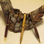 Pens 4 Troops 001.JPG