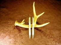 DSCN0717 (800x590).jpg