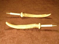 DSCN0721 (800x600).jpg