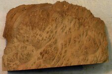 Red Mallee2a.JPG