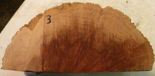 Red Mallee3.JPG