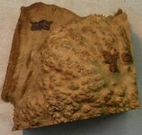 Red Mallee4a.JPG