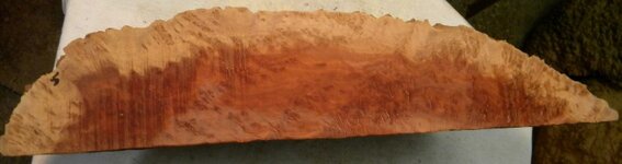 Red Mallee5.JPG