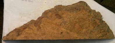 Red Mallee5a.JPG