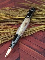 1st Antler pen view 2.jpg