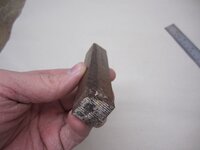 IMG_0081.JPG