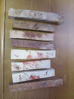 IMG_0084.JPG