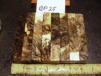 bp25a.JPG bp25a.JPG