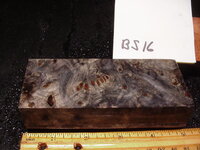 bs16a.JPG bs16a.JPG