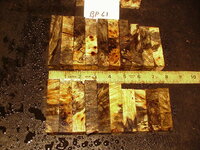 bp61a.JPG bp61a.JPG