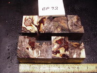 bp72a.JPG bp72a.JPG