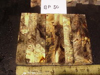 bp50a.JPG bp50a.JPG