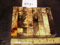 bp51a.JPG bp51a.JPG