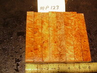 mp123a.JPG mp123a.JPG