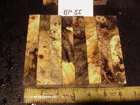 bp55a.JPG bp55a.JPG