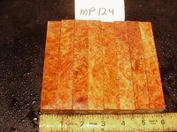 mp124a.JPG mp124a.JPG