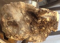 amesquiteburl.jpg