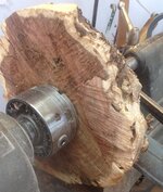 amesquiteburl2.jpg