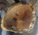 amesquiteburl5.jpg
